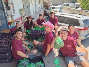 בני נוער מתנדבים בחסדי נעמי