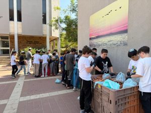 התנדבות של בני נוער