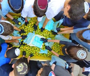 התנדבות לבני נוער- מתנדבים בחסדי נעמי