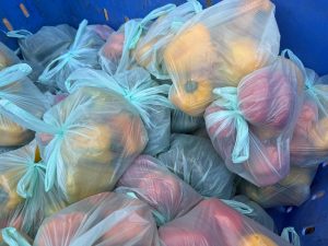 פלפלים/גמבות שבני נוער ארזו בהתנדבות